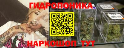 прущие крисы Кингисепп
