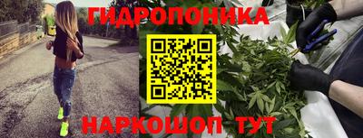 трава Кинель