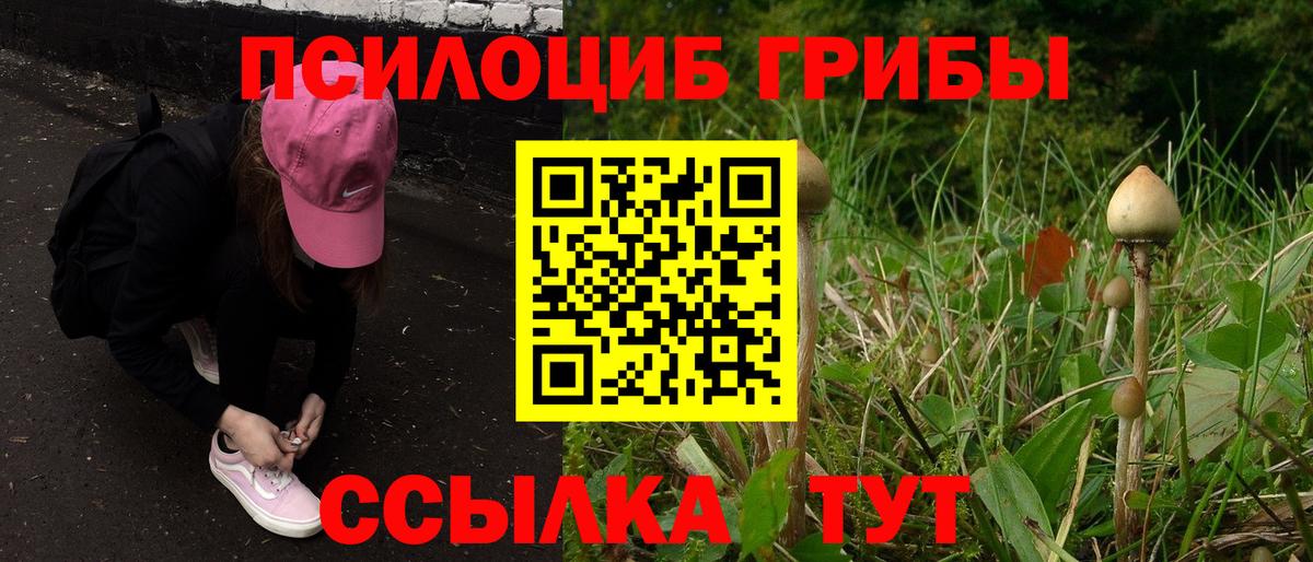 Галлюциногенные грибы MAGIC MUSHROOMS Костомукша