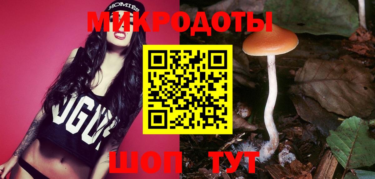 Костомукша  Псилоцибиновые грибы Psilocybe  Вход с VPN  Псилоцибиновые грибы MAGIC MUSHROOMS 