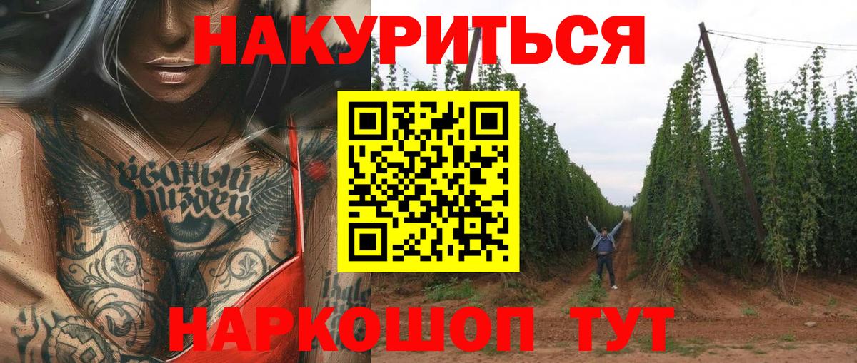 Конопля марихуана  Бошки марихуана планчик  Канабис SATIVA & INDICA  Вход с VPN  Костомукша 